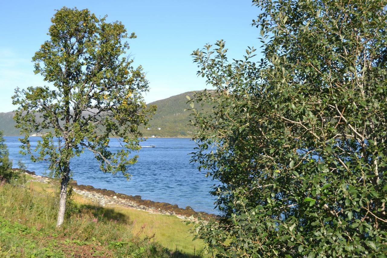 Kvaloya Lodge Futrikelv Exteriör bild