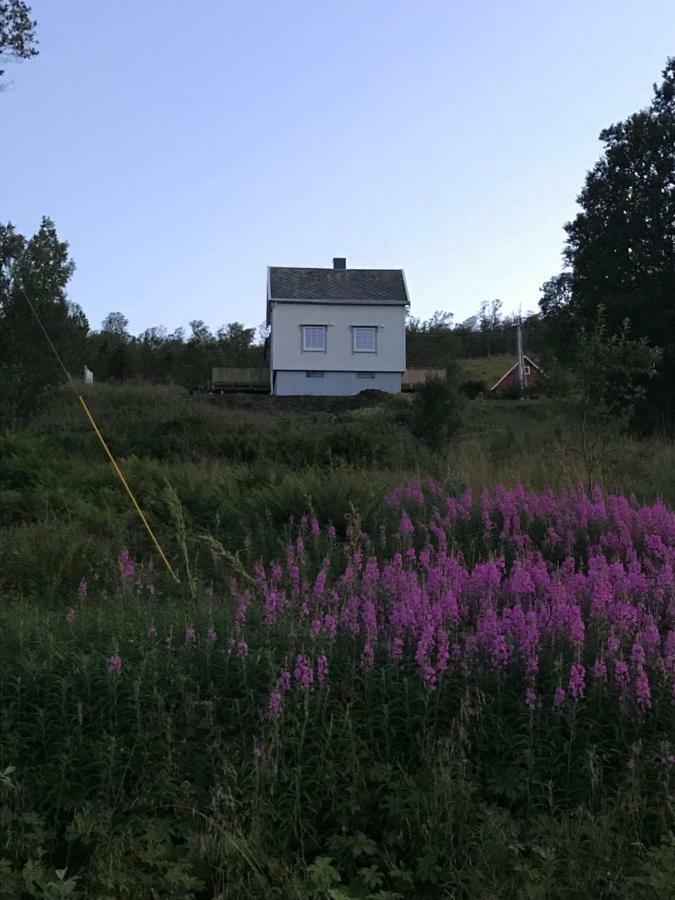 Kvaloya Lodge Futrikelv Exteriör bild